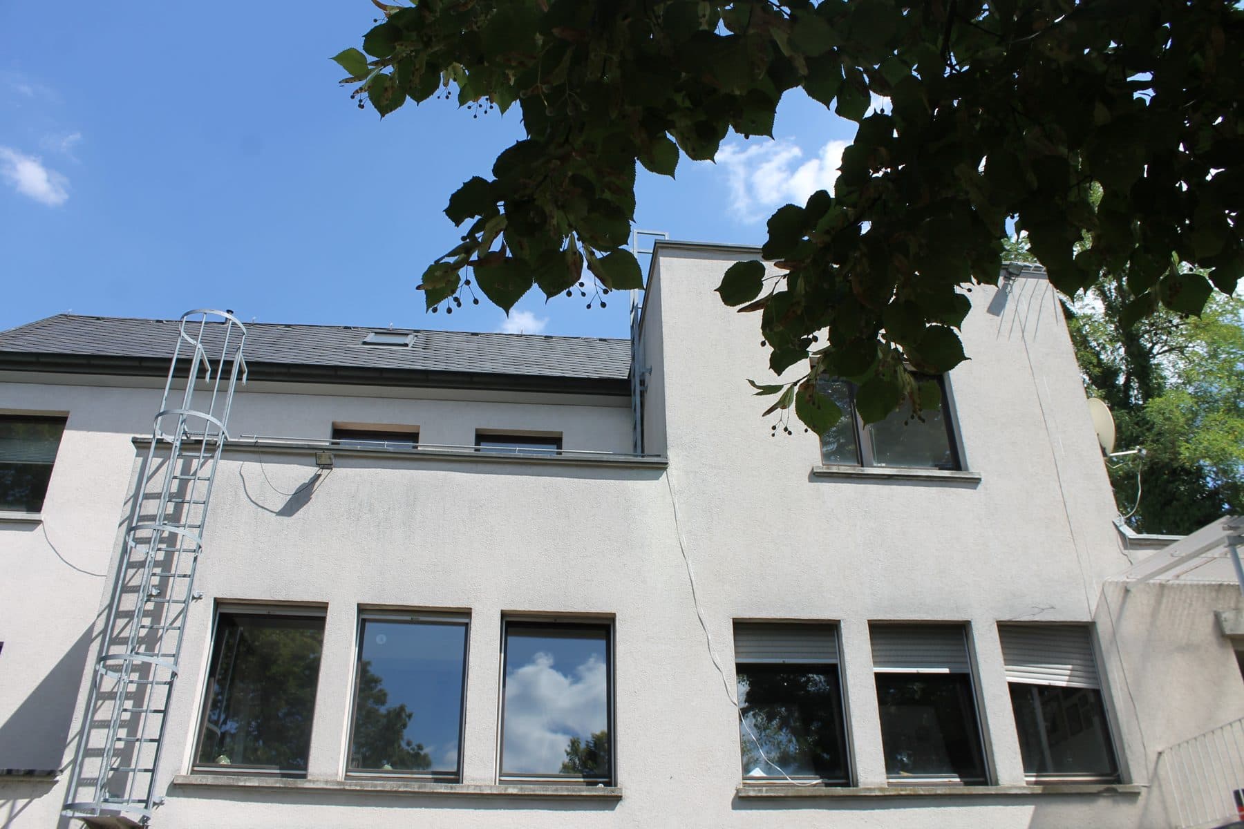 Das Asciburgia-Haus von der Gartenseite